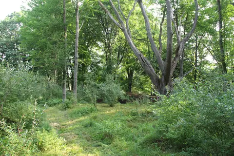 Other - V/l E Chauvez Road, Custer, MI 49405 photo 12 of 27
