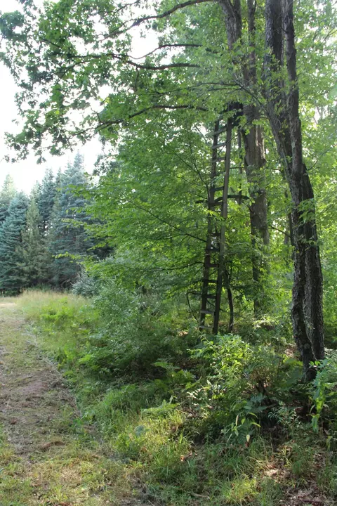 Other - V/l E Chauvez Road, Custer, MI 49405 photo 14 of 27