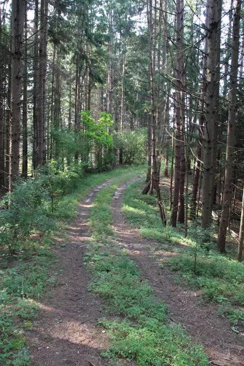 Other - V/l E Chauvez Road, Custer, MI 49405 photo 8 of 27