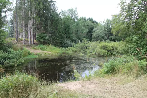 View/Area - V/l E Chauvez Road, Custer, MI 49405 photo 4 of 5
