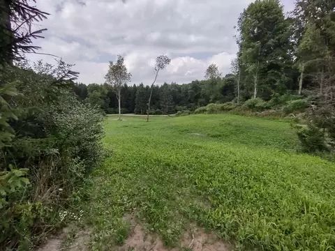 Exterior - V/l E Chauvez Road, Custer, MI 49405 photo 3 of 9