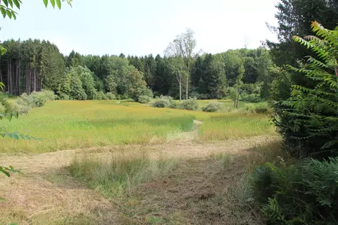 Other - V/l E Chauvez Road, Custer, MI 49405 photo 19 of 27