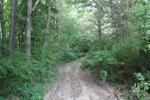 Other - V/l E Chauvez Road, Custer, MI 49405 photo 15 of 27