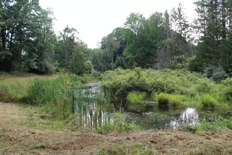 View/Area - V/l E Chauvez Road, Custer, MI 49405 photo 5 of 5