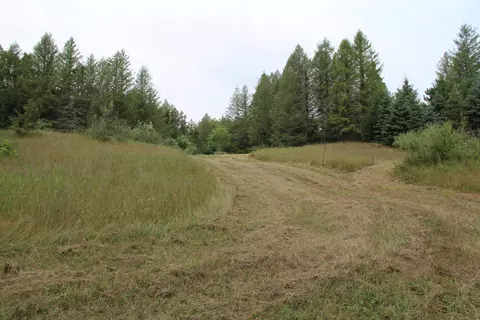 Other - V/l E Chauvez Road, Custer, MI 49405 photo 20 of 27