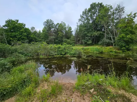 View/Area - V/l E Chauvez Road, Custer, MI 49405 photo 2 of 5