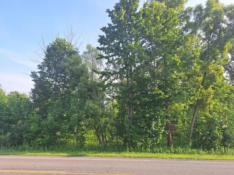 00 Vl 14 Mile Rd, Leroy, MI 49655