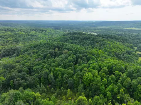 V/l 40a Lambdin Road, East Jordan, MI 49727