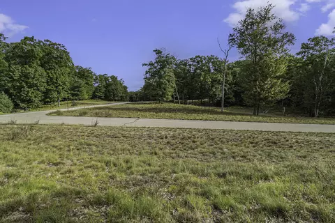 lot4 Pine St, Mears, MI 49436 photo 19