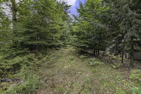 lot4 Pine St, Mears, MI 49436 photo 11