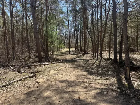 Other - 604 W Beaver Rd, Bitely, MI 49309 photo 29 of 31