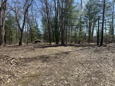 Exterior - 604 W Beaver Rd, Bitely, MI 49309 photo 30 of 30