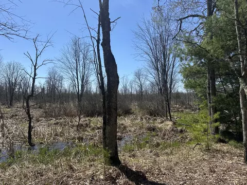 Other - 604 W Beaver Rd, Bitely, MI 49309 photo 30 of 31