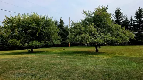Exterior - 4545 S Rolland Rd, Blanchard, MI 49310 photo 6 of 9