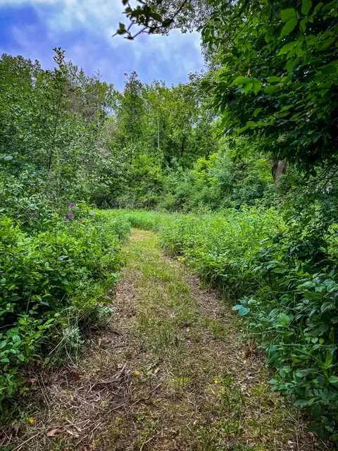 Other - 2515 Cooper St, Jackson, MI 49201 photo 16 of 16
