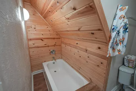 Bath - 545 N Hemlock St, Evart, MI 49631 photo 3 of 4