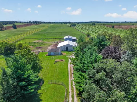 View/Area - 10031 Hastings Rd, Jackson, MI 49201 photo 3 of 12