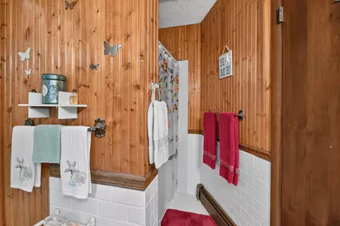 Bath - 1916 Ackerson Lake Rd, Jackson, MI 49201 photo 3 of 4