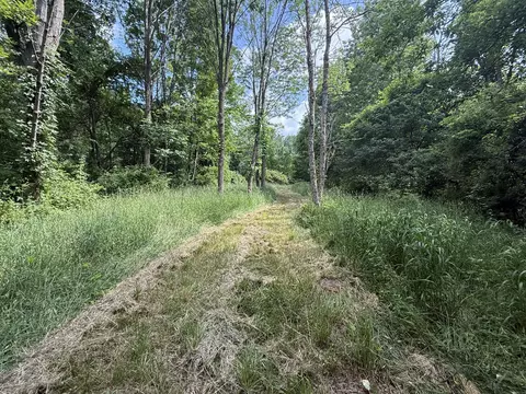 Other - Hagerman Road, Leonard, MI 48367 photo 14 of 32