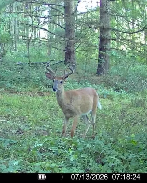 Other - Hagerman Road, Leonard, MI 48367 photo 24 of 32