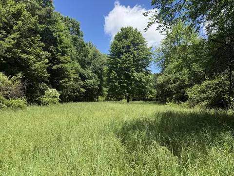 Exterior - Hagerman Road, Leonard, MI 48367 photo 1 of 11