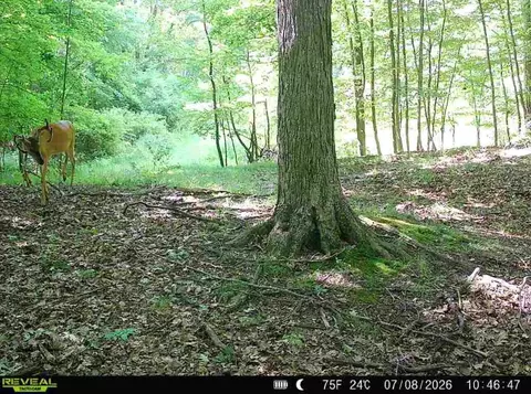 Other - Hagerman Road, Leonard, MI 48367 photo 30 of 32
