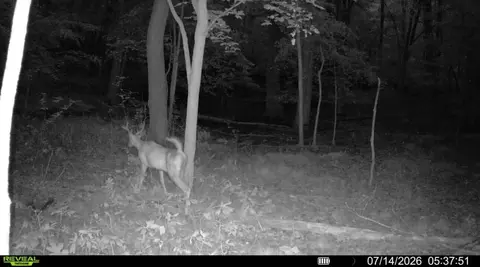 Other - Hagerman Road, Leonard, MI 48367 photo 28 of 32