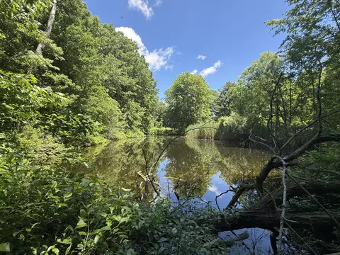 View/Area - Hagerman Road, Leonard, MI 48367 photo 6 of 6