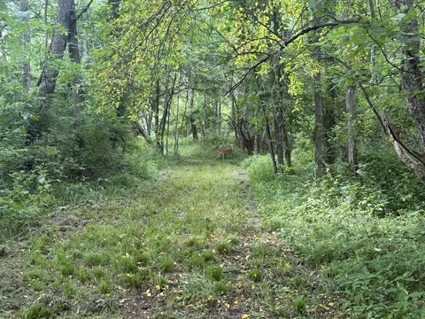 Other - Hagerman Road, Leonard, MI 48367 photo 17 of 32