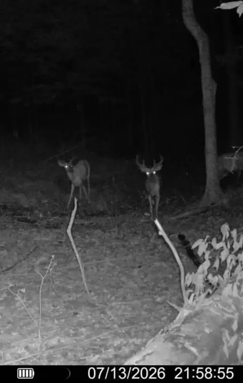 Other - Hagerman Road, Leonard, MI 48367 photo 22 of 32