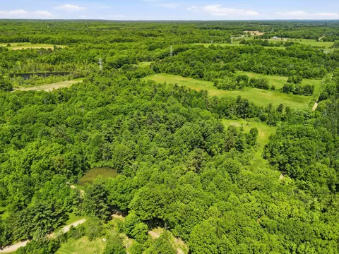 View/Area - Hagerman Road, Leonard, MI 48367 photo 3 of 6