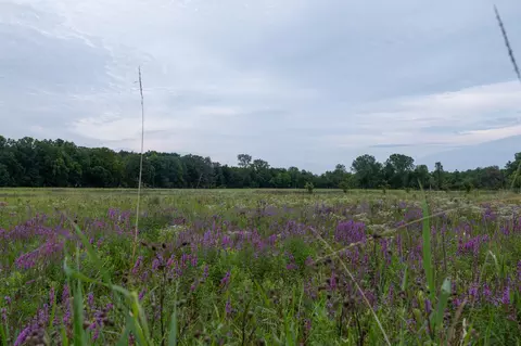 Other - 12680 Day Rd, Hudson, MI 49247 photo 5 of 36