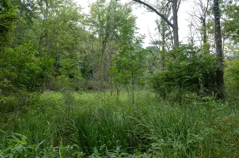 Other - 12680 Day Rd, Hudson, MI 49247 photo 23 of 36