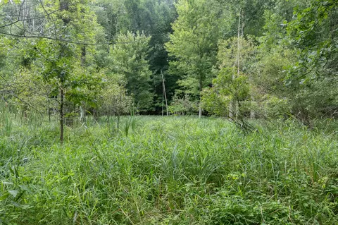 Other - 12680 Day Rd, Hudson, MI 49247 photo 24 of 36