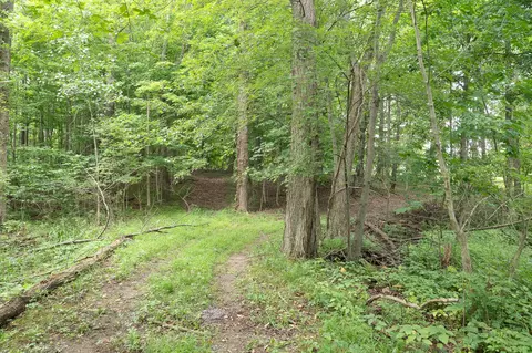 Other - 12680 Day Rd, Hudson, MI 49247 photo 26 of 36