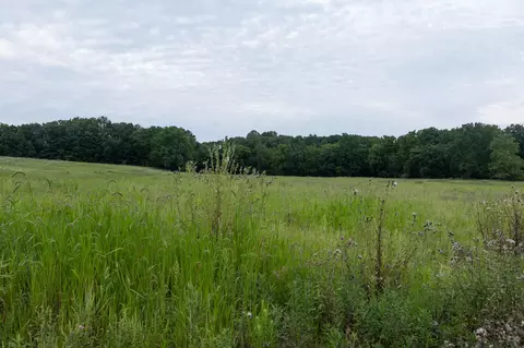 Other - 12680 Day Rd, Hudson, MI 49247 photo 6 of 36