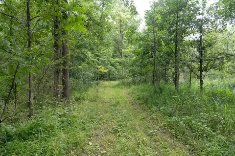 Other - 12680 Day Rd, Hudson, MI 49247 photo 25 of 36