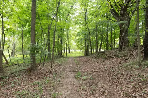 Other - 12680 Day Rd, Hudson, MI 49247 photo 27 of 36