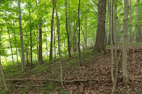 Other - 12680 Day Rd, Hudson, MI 49247 photo 30 of 36