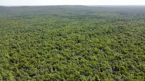 Other - S Skocelas Rd, Manistee, MI 49660 photo 2 of 22