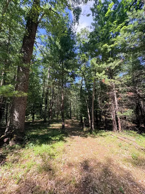 Other - S Skocelas Rd, Manistee, MI 49660 photo 22 of 22