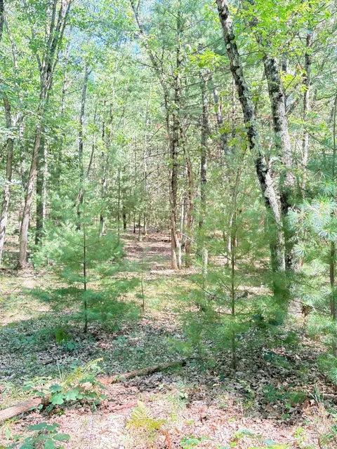 Exterior - S Skocelas Rd, Manistee, MI 49660 photo 22 of 24