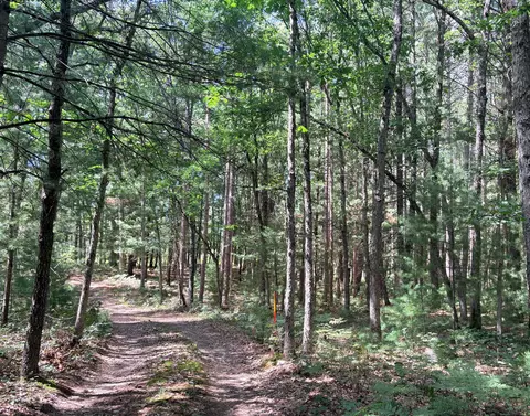 Other - S Skocelas Rd, Manistee, MI 49660 photo 21 of 22