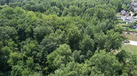 Inkster Road, Romulus, MI 48174 photo 6