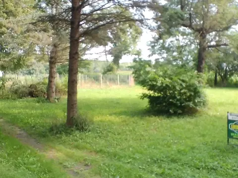 Exterior - Musbach Road, Munith, MI 49259 photo 3 of 6