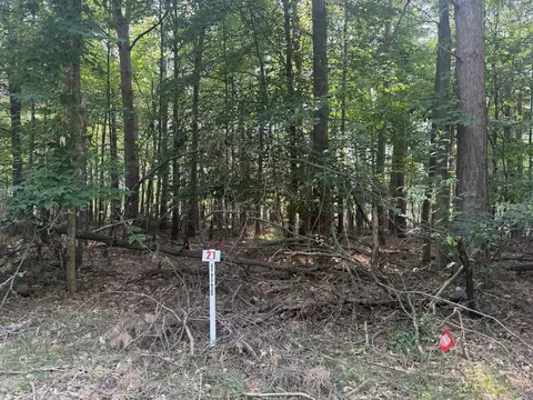 7745 Lakeview Dr, Stanwood, MI 49346