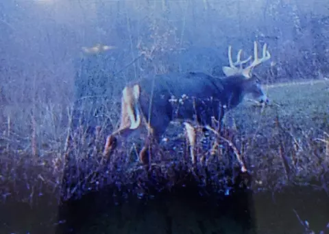 Other - 7541 E Bevens Rd, Kingston, MI 48741 photo 11 of 17