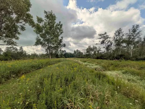 Other - 7541 E Bevens Rd, Kingston, MI 48741 photo 5 of 17