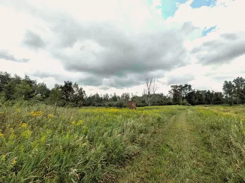 7541 E Bevens Rd, Kingston, MI 48741