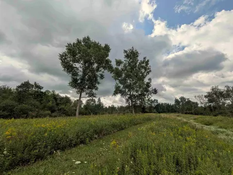 Other - 7541 E Bevens Rd, Kingston, MI 48741 photo 4 of 17